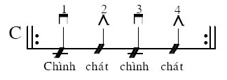 các điệu guitar
