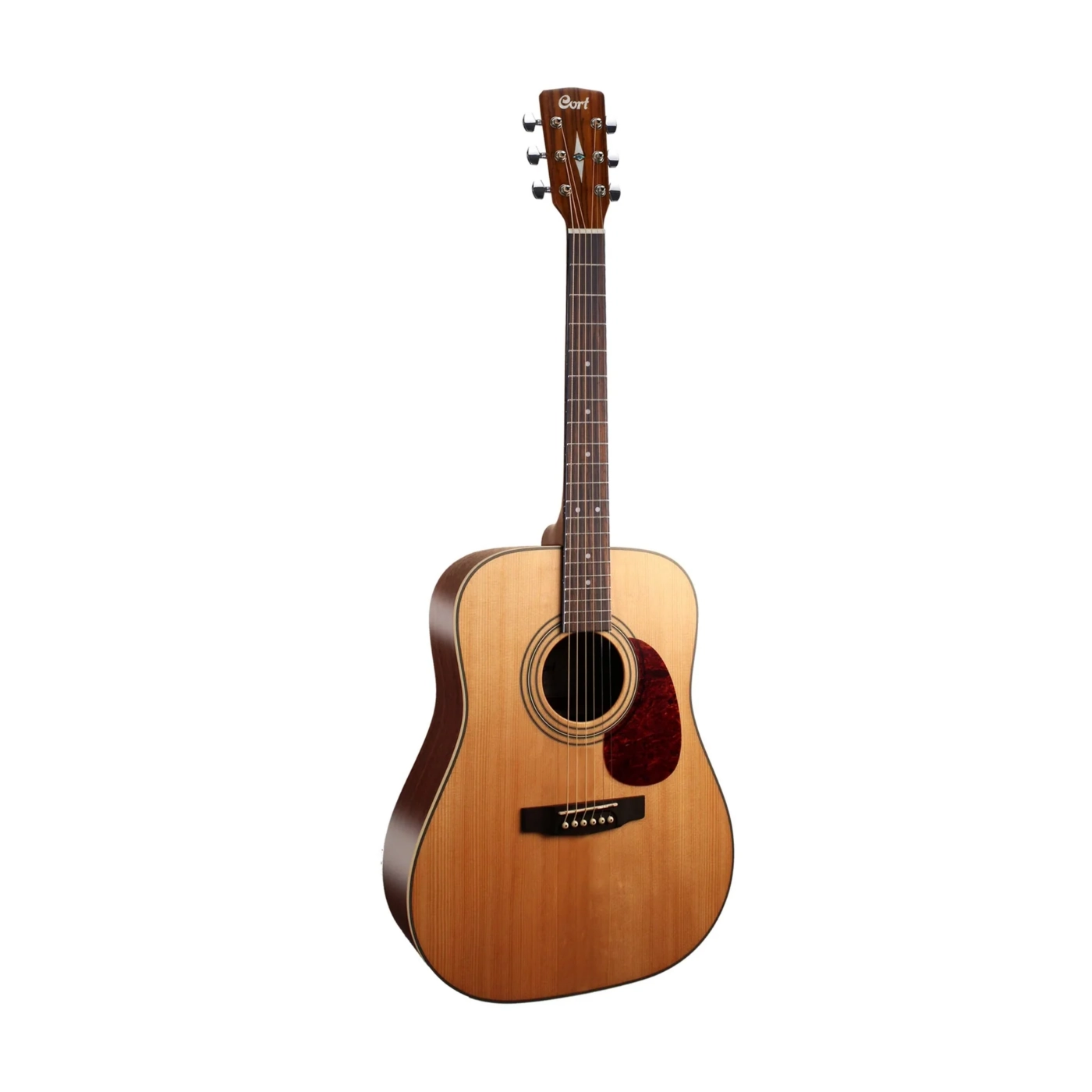 các hãng đàn guitar