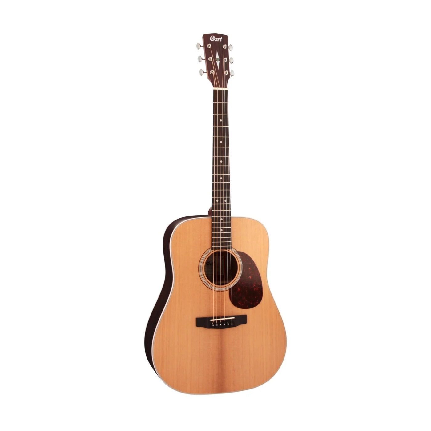 các hãng đàn guitar