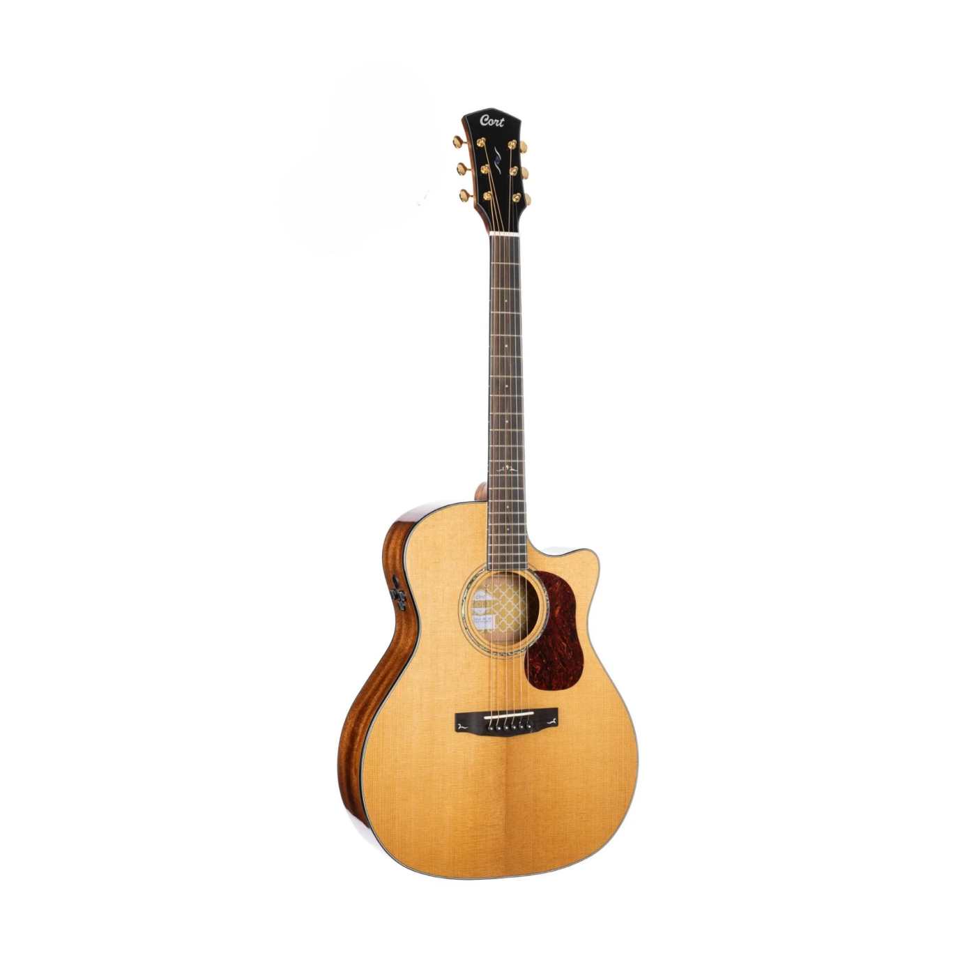 các hãng đàn guitar