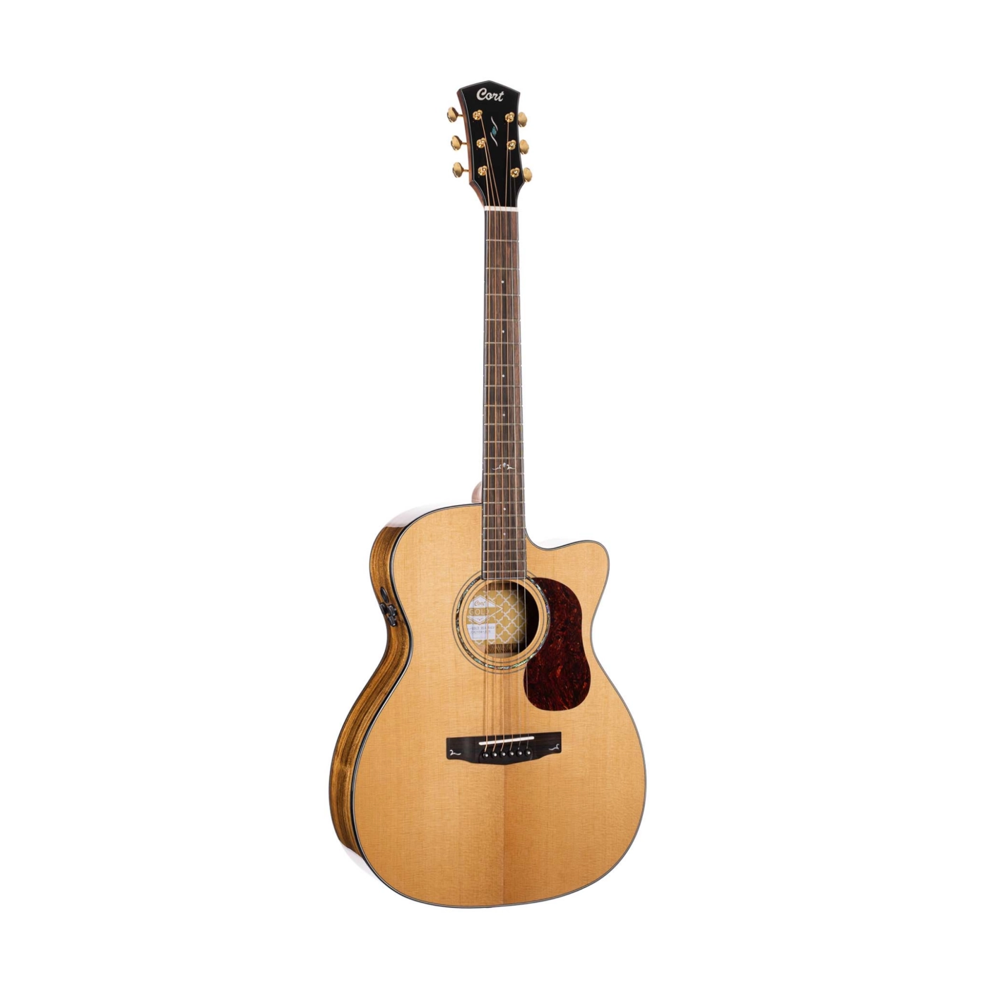 các hãng đàn guitar