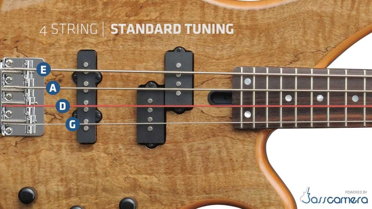 cach-danh-bass-guitar