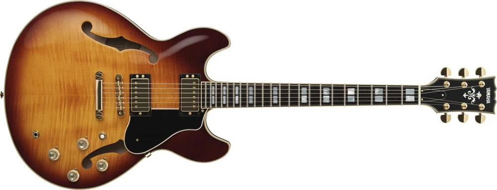 cấu tạo guitar điện
