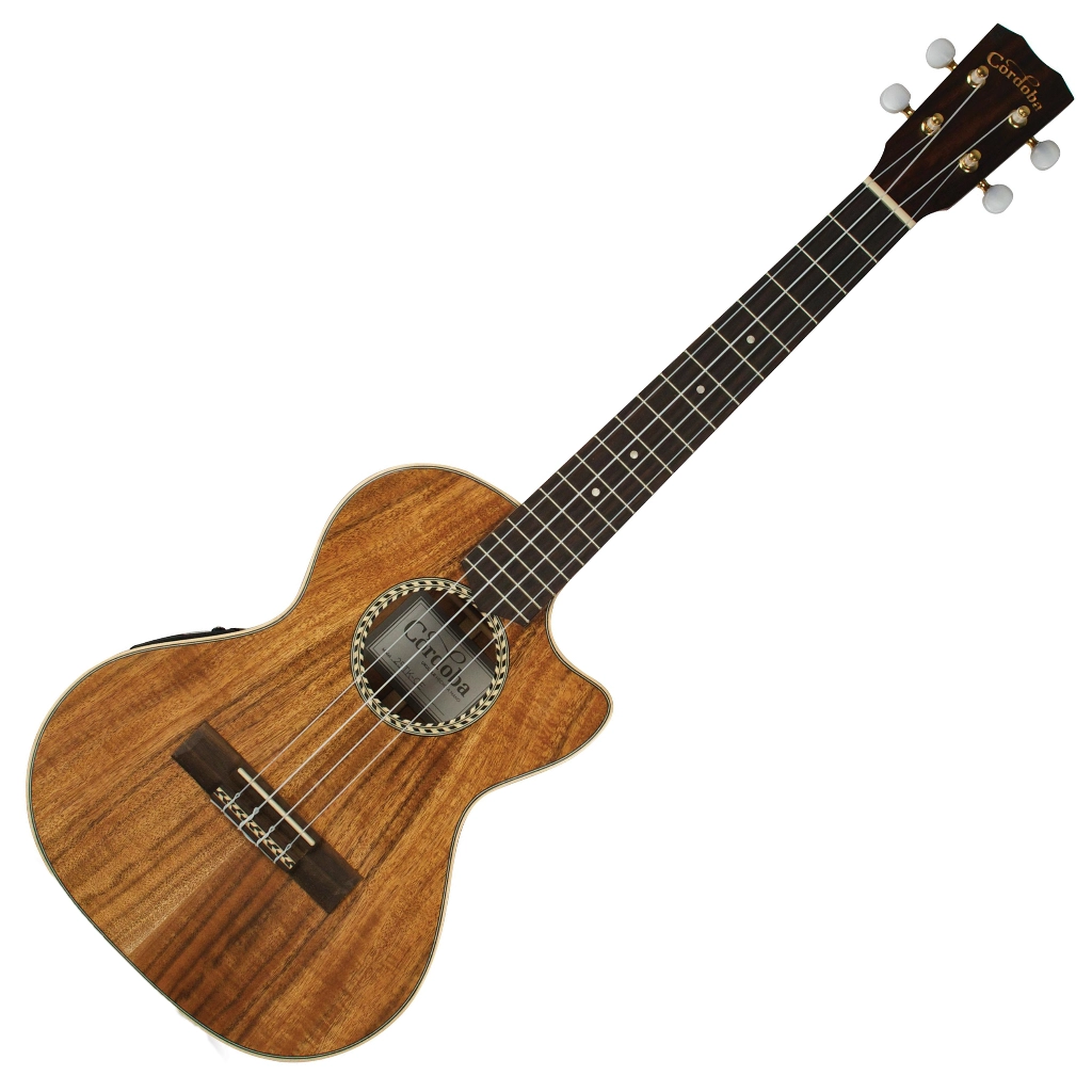 guitar là gì