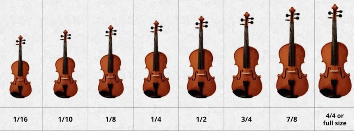 các loại đàn violin
