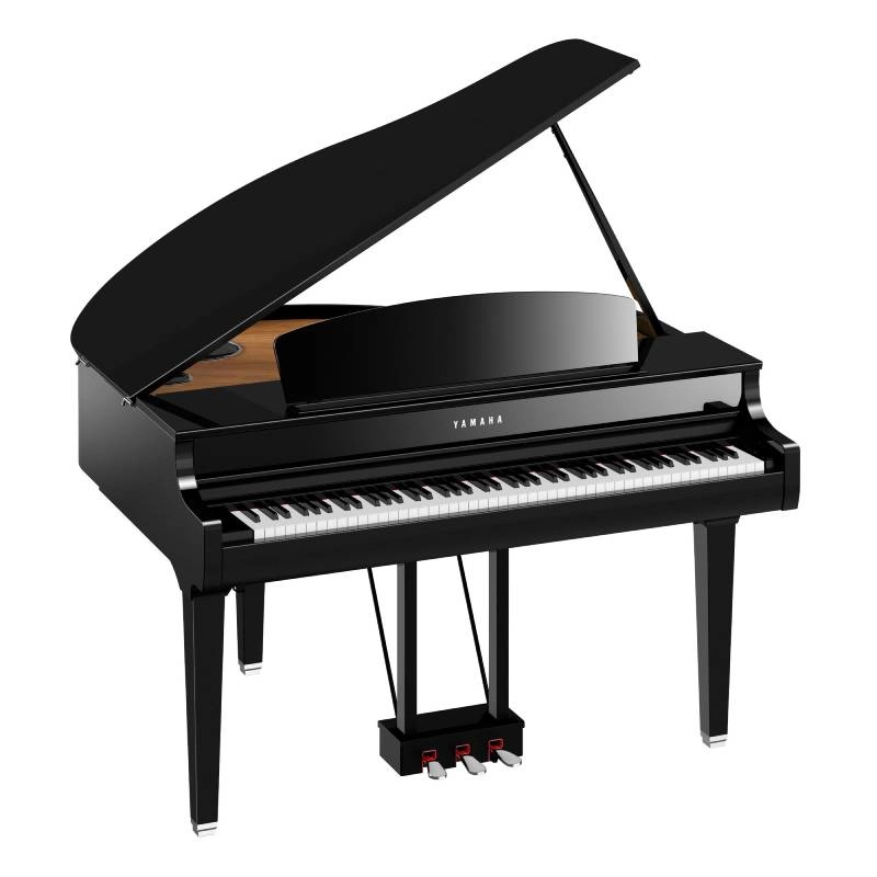 dan-organ-khac-dan-piano-nhu-the-nao