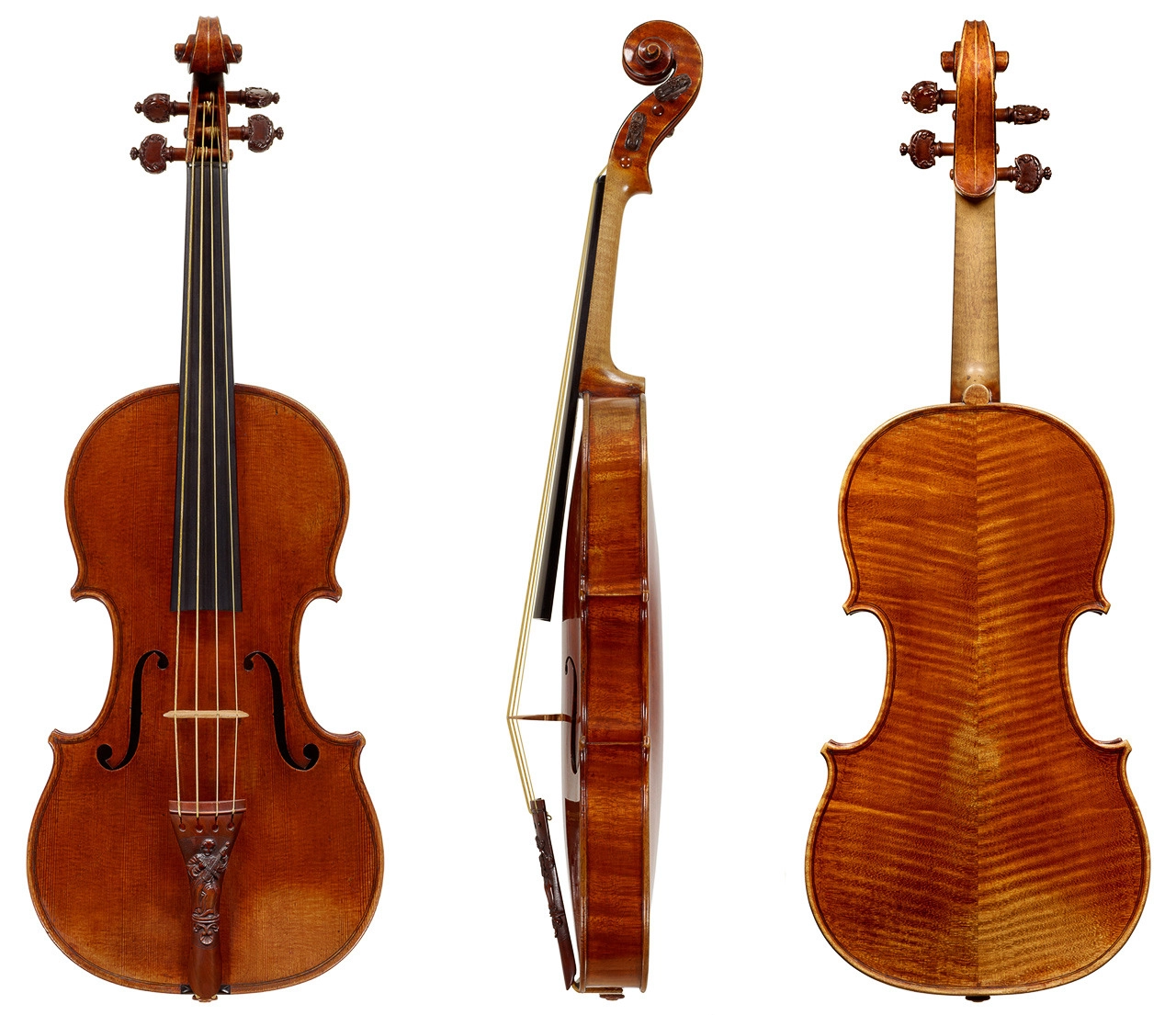 dan-violin-dat-nhat-the-gioi