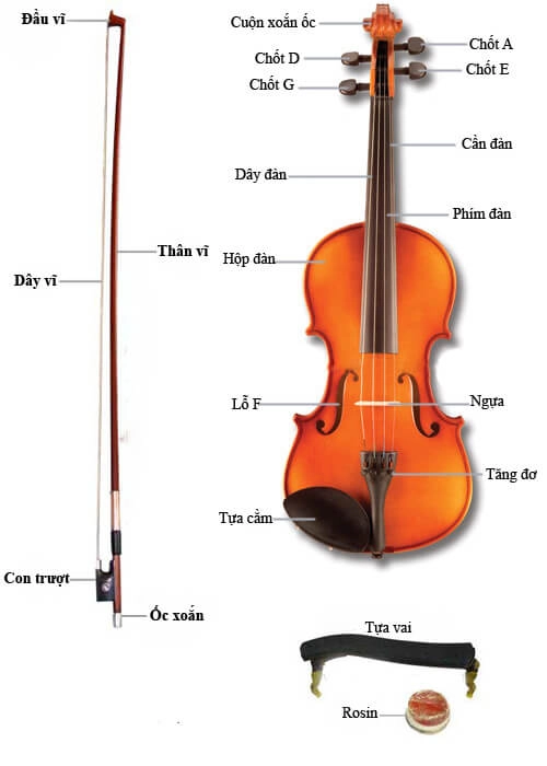 day-dan-violin-lam-bang-gi