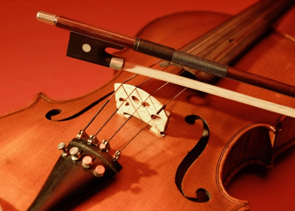 Dây đàn Violin làm bằng gì? Khám phá vật liệu tạo nên âm thanh Violin