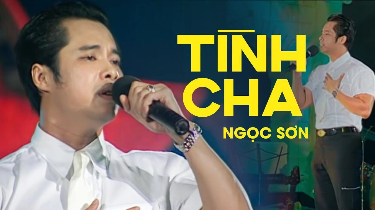 lời bài hát tình cha ngọc sơn