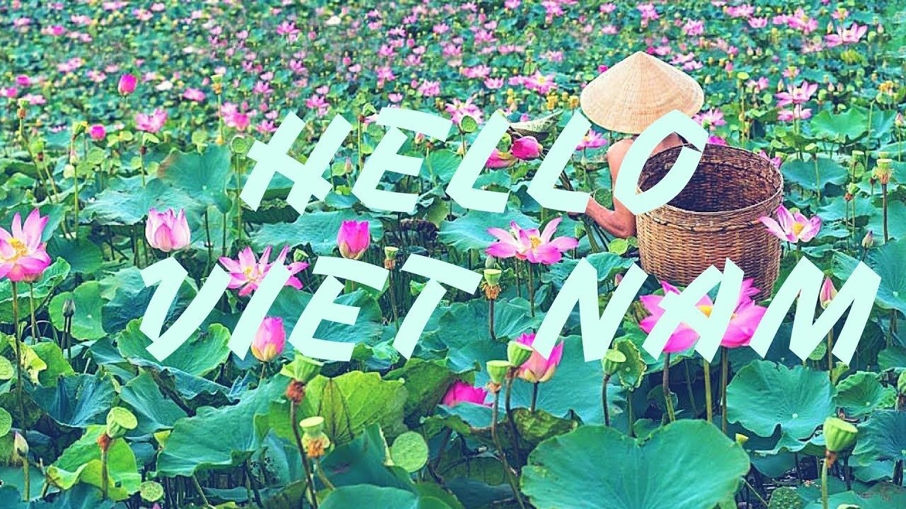 Lời bài hát Xin Chào Việt Nam - Thùy Chi