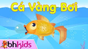 Cá vàng bơi​​ –  Hà My | Lời bài hát, hợp âm, MV