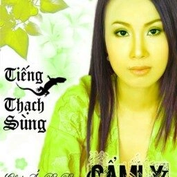 Chiếc Áo Bà Ba​​ - Cẩm Ly | Lời bài hát, hợp âm, MV