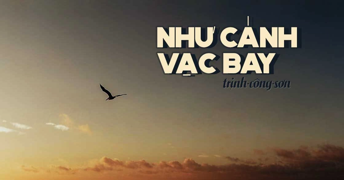 Như cánh vạc bay​​ - Trịnh Công Sơn | Lời bài hát, hợp âm, MV