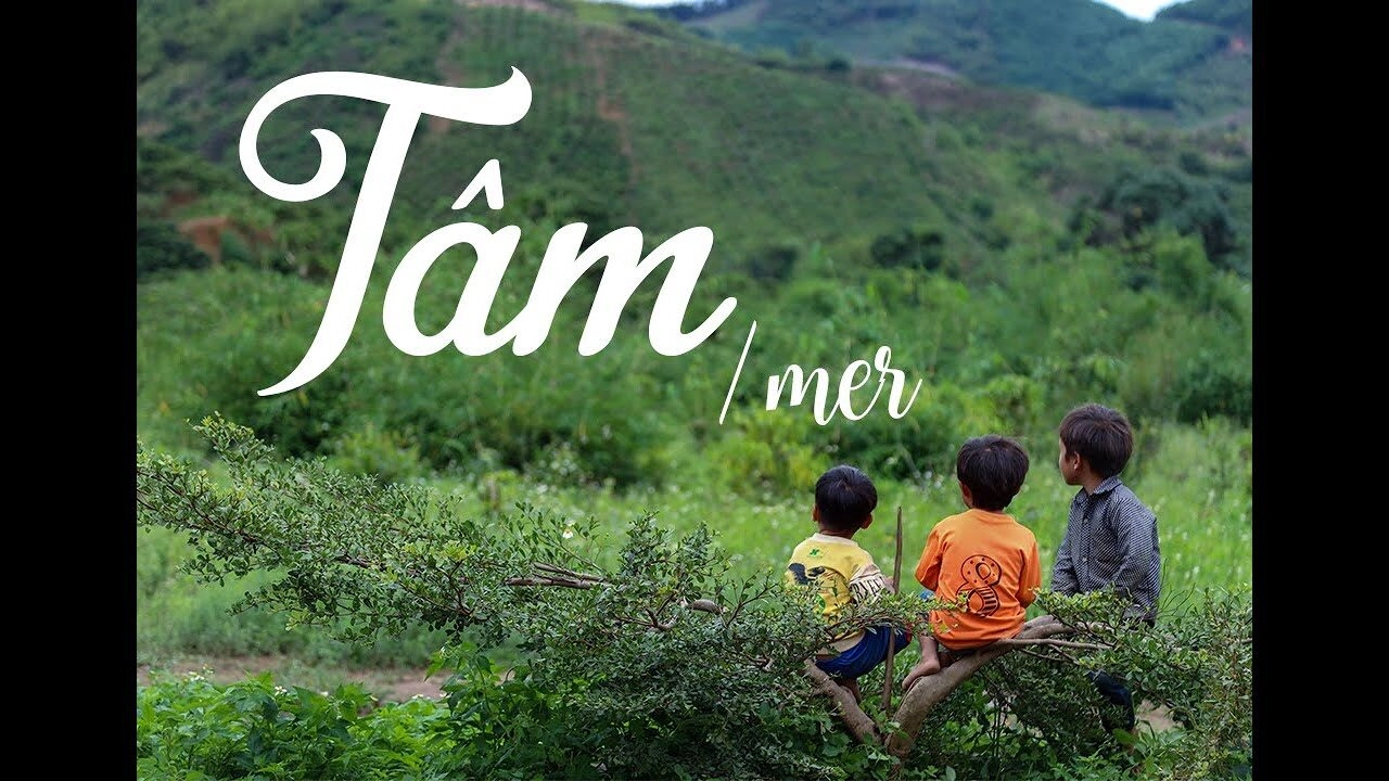 tâm - Mer, Kriss Ngo | Lời bài hát, hợp âm, MV